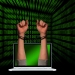 Cybercrime: geluk of wijsheid?