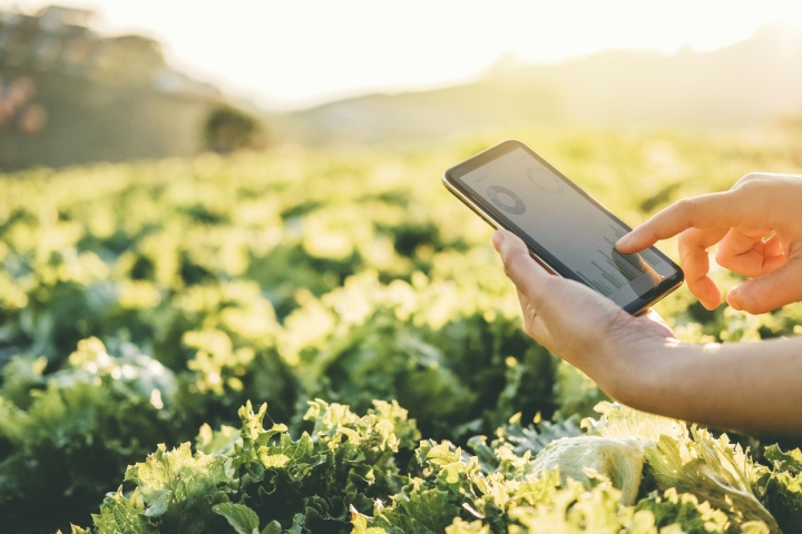 How Cybersecurity and Food Safety Intersect in Today's Digital Age