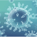 Investigating Phishing Attacks Exploiting Coronavirus Themes