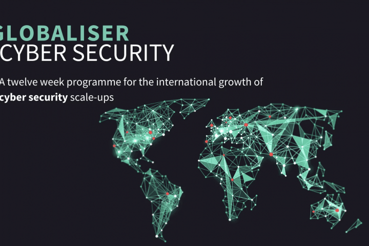 Introducing: the Cyber Security Globaliser Participants