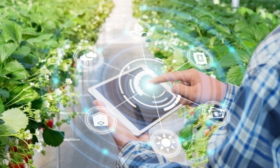 Greenhouse Horticulture Industry Quiet on Cybersecurity