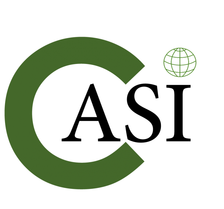 Logo CASI Chemicals & Safety International