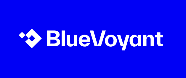 Logo BlueVoyant 