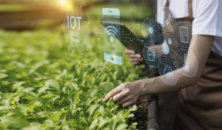Resistente Telers: een cyberveilige en duurzame tuinbouw door digitale data-innovatie