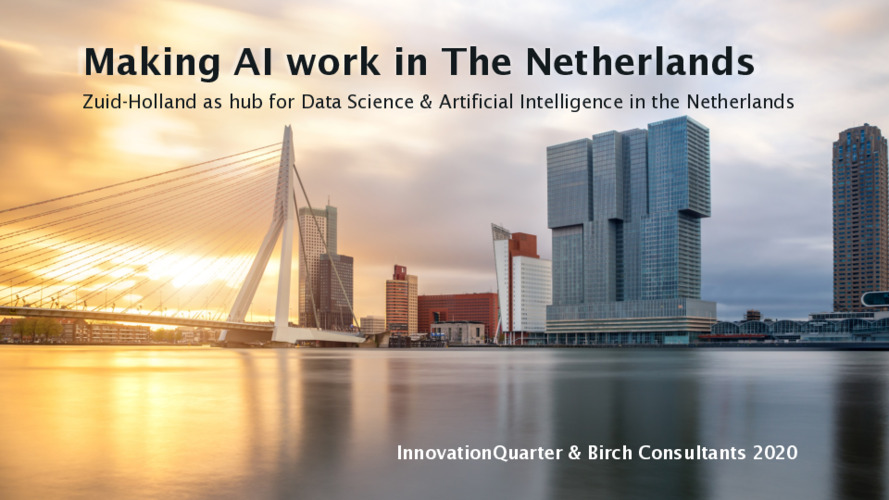 Making AI Work in the Netherlands